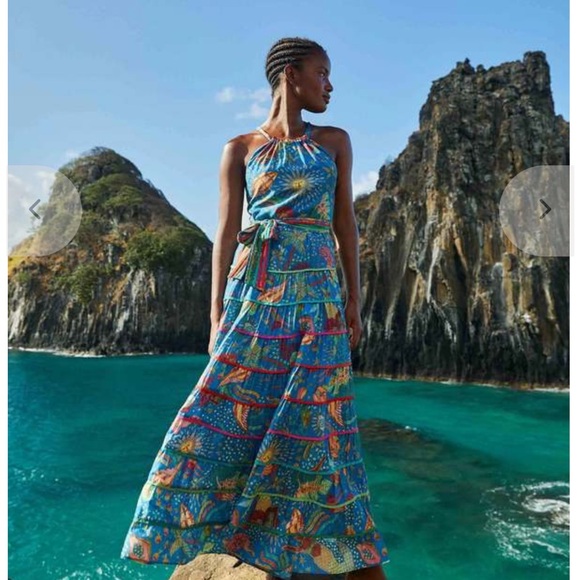 FARM Rio Dresses & Skirts - NWT FARM Rio Maxi Dress - Blue Ocean
Stories